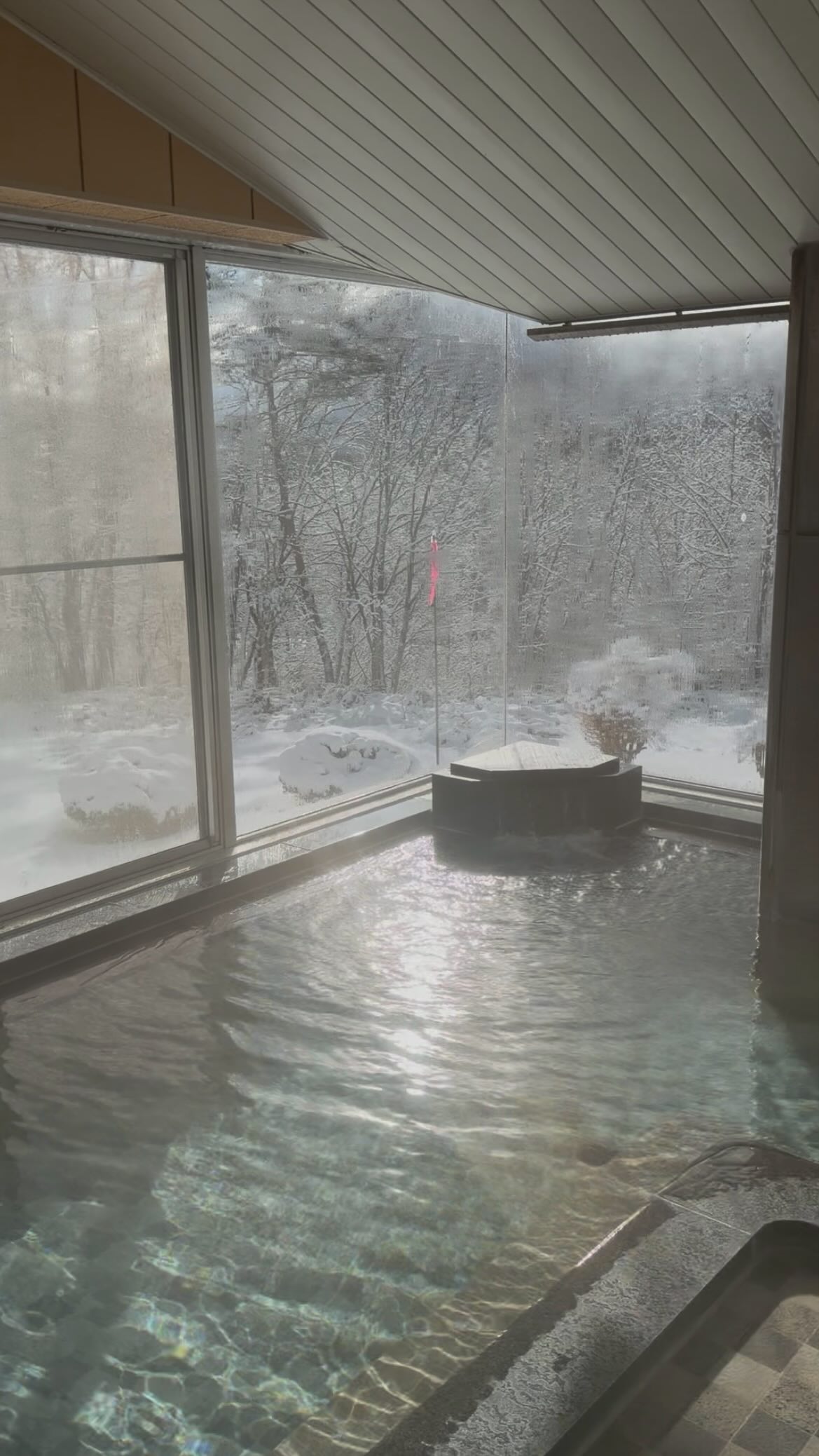 行ってみたい人はコメント欄に🌱を押してね！

信じてもらえないかもしれませんが...
この温泉実は...
スノボ・スキーの後の利用にもおすすめなんです！
とろっとろな人生最高な泉質に加え
日帰り利用
5,000円から泊まれるプランまで！
忘れないようにシェアしてね！

＿＿＿＿＿＿＿＿＿＿

阿賀町で“温泉ワーケーション”はいかが？💻♨️

✔とろとろの美肌温泉でリフレッシュ 
✔隣にはカフェ＆コワーキング「風舟」 
✔自然に囲まれた静かなロケーション 

仕事も癒しも両立できる、贅沢な時間をぜひ✨

#津川温泉 #阿賀町ワーケーション #清川高原保養センター
#新潟カフェ #日帰り温泉