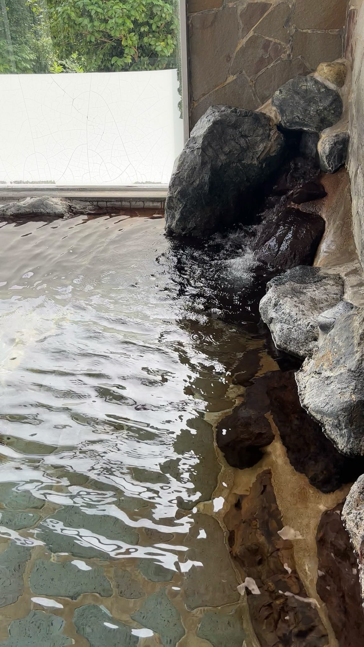 行ってみたい人はコメント欄に🌱を押してね！

信じてもらえないかもしれませんが...
新潟でリピーター続出のここ実は...
新潟の日帰り温泉にもおすすめなんです
たった500円で
まるで浸かる美容液のようなとろっとろな
温泉が楽しめる
もう他の温泉に戻れなくなるここ
他にも魅力満点だから
プロフィールのリンクをチェックしてね

＿＿＿＿＿＿＿＿＿＿

阿賀町で“温泉ワーケーション”はいかが？💻♨️

✔とろとろの美肌温泉でリフレッシュ 
✔隣にはカフェ＆コワーキング「風舟」 
✔自然に囲まれた静かなロケーション 

仕事も癒しも両立できる、贅沢な時間をぜひ✨

#津川温泉 #阿賀町ワーケーション #清川高原保養センター
#新潟カフェ #日帰り温泉